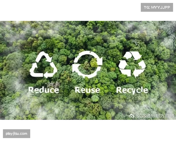 冰雪赛事实现碳足迹追踪 绿色交通减排获国际认证